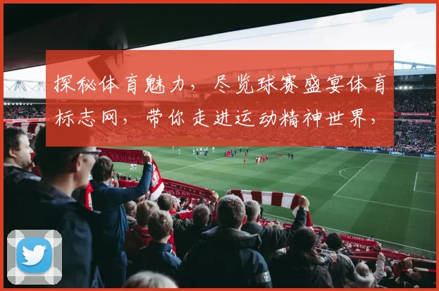 探秘体育魅力，尽览球赛盛宴体育标志网，带你走进运动精神世界，体验激情与拼搏