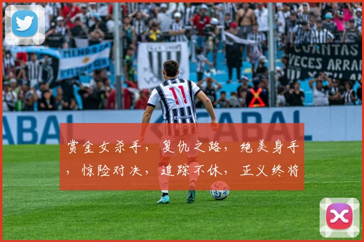赏金女杀手，复仇之路，绝美身手，惊险对决，追踪不休，正义终将揭晓，三生三世情仇录