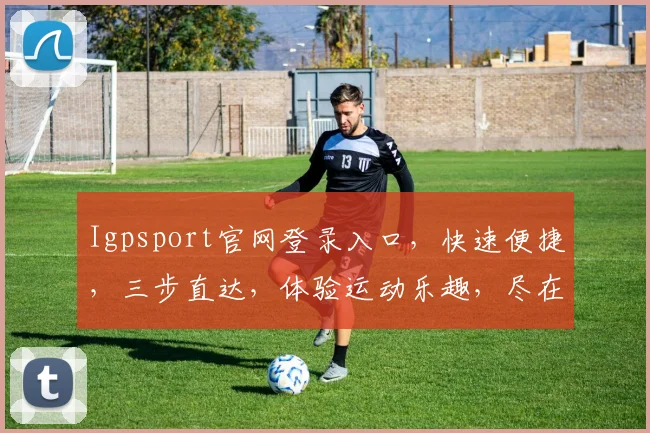 Igpsport官网登录入口，快速便捷，三步直达，体验运动乐趣，尽在掌握，一网打尽